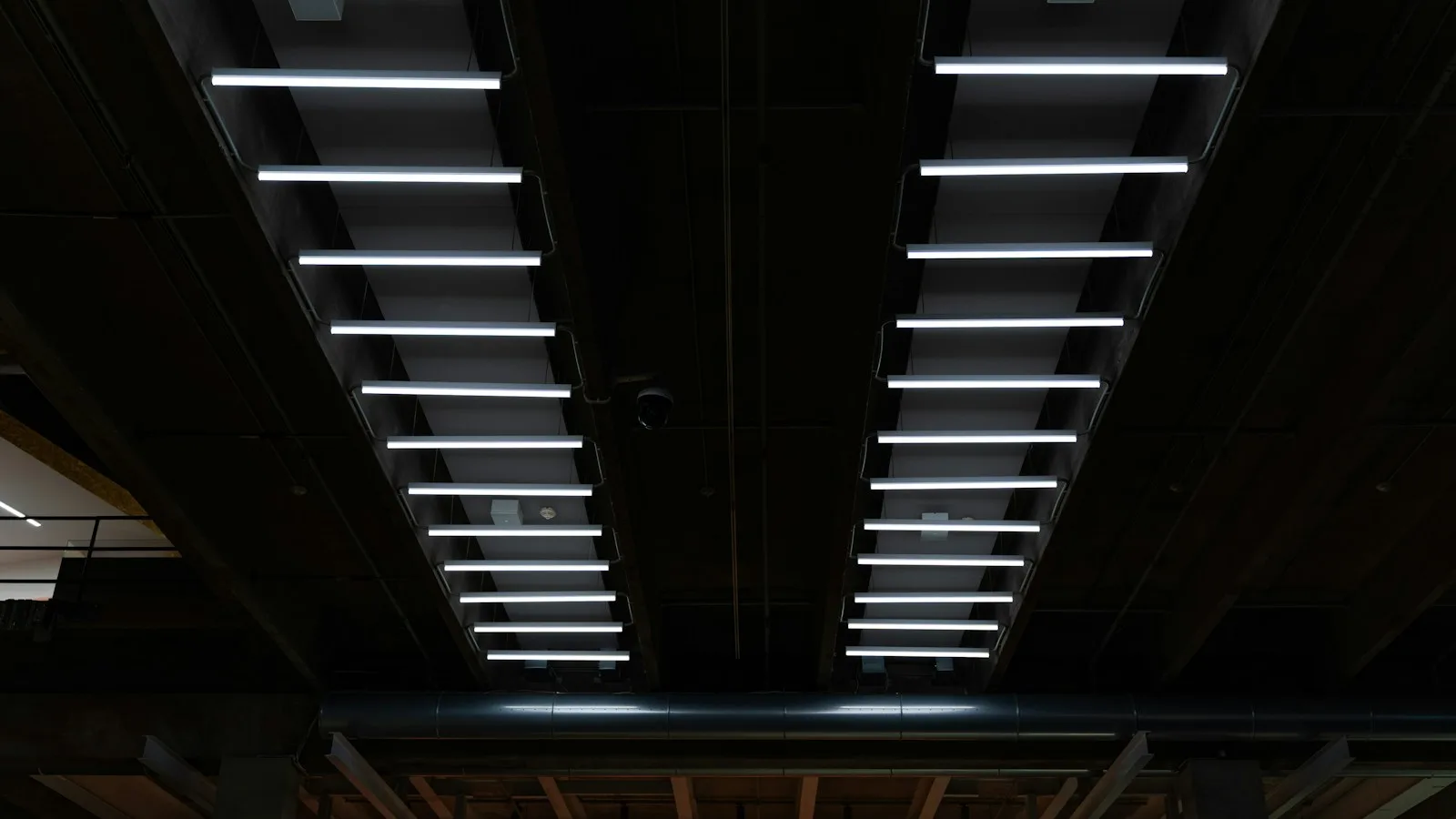 Modern commercial ceiling lighting in a Toronto office
