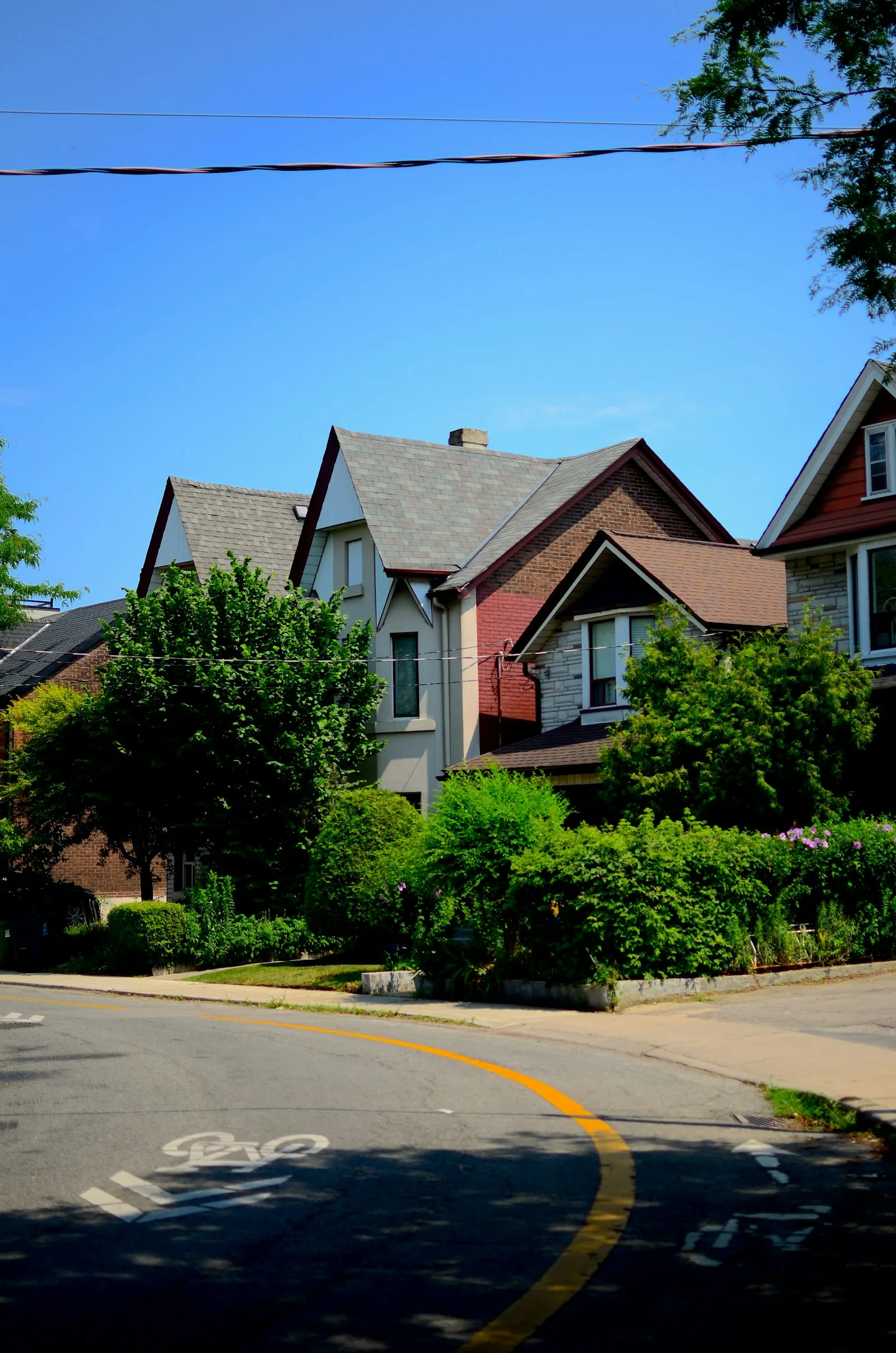 Residential Ontario street lined with houses and lush greenery — Etobicoke